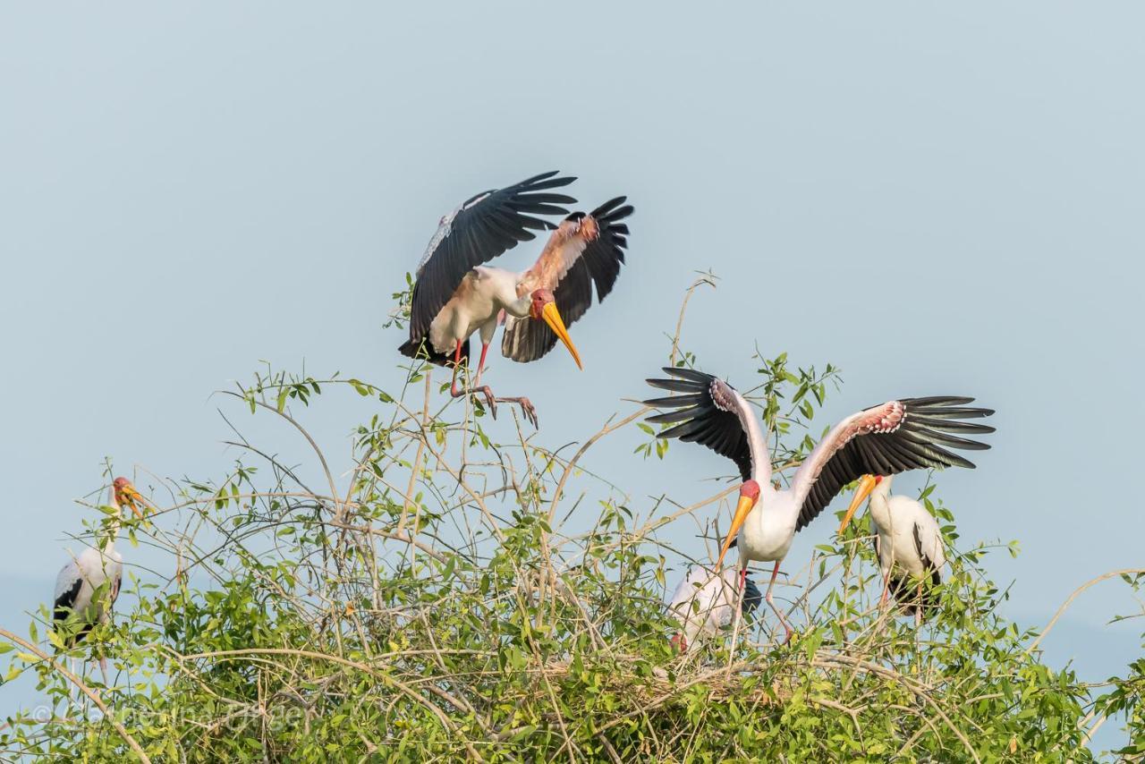 Lake Natron Maasai Giraffe Eco Lodge And Camping Mtowabaga Dış mekan fotoğraf